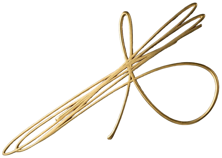 Amir Hossein Rahmani signature